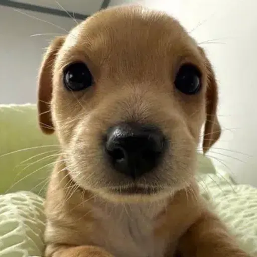 BILLY