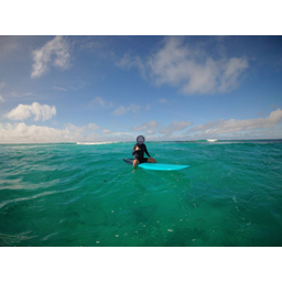 SURFER
