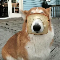 DOGINBREAD