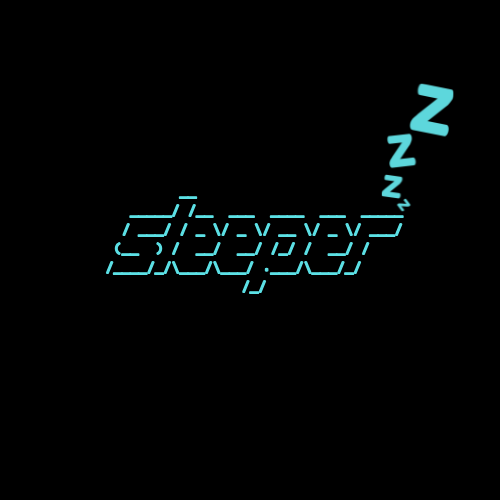 sleeper