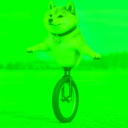 INUCYCLE