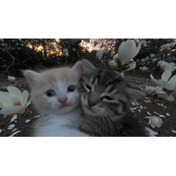 TOGETHER