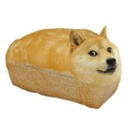 Dogge 