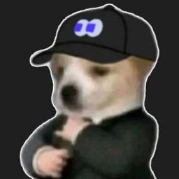 fomodog