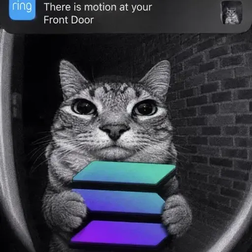 Motion