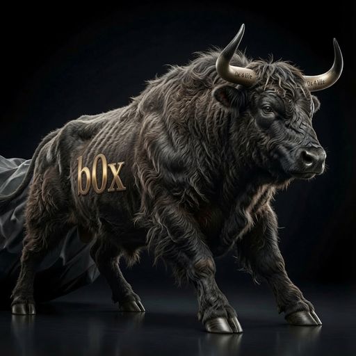 b0x test