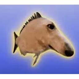 Borzoi