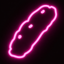 neonpoop