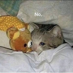 No
