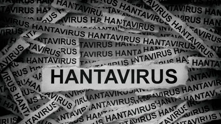 HANTAVIRUS