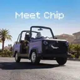 Chip
