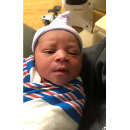 Lil Z