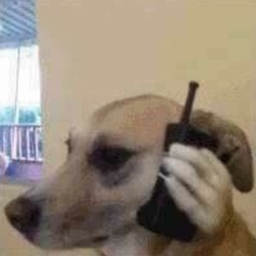 walkie