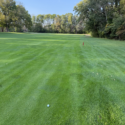 $golf