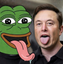 Elonpepe