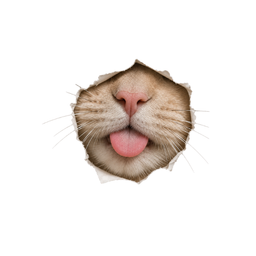 Blep