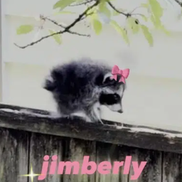 JIMBERLY