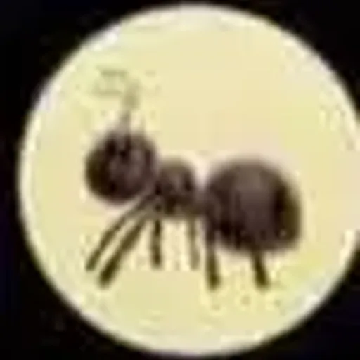 ANT