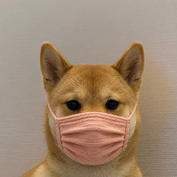WIFMASK
