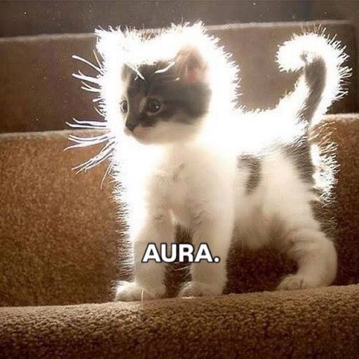 AURA
