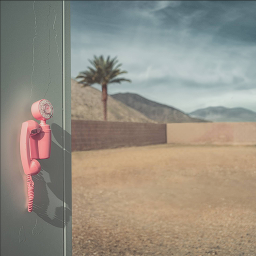 Pink Palm