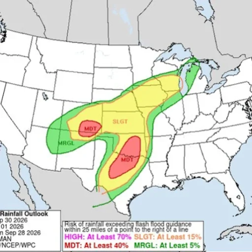 Dicknado