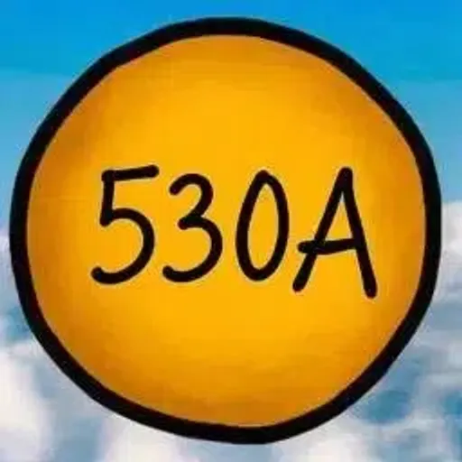 530A