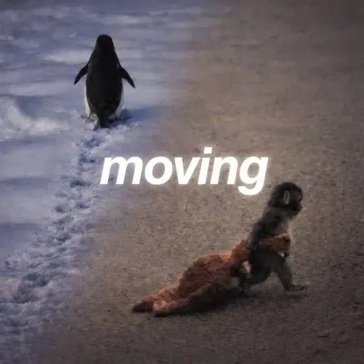MOVING