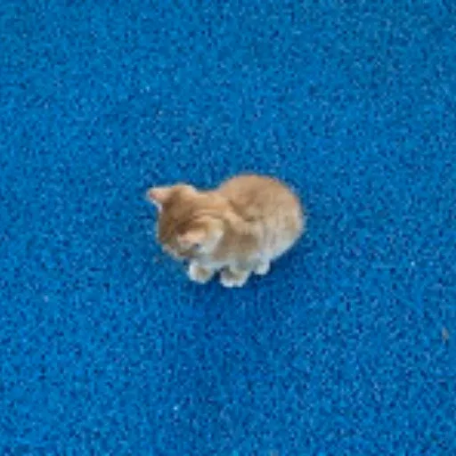 ᵐⁱⁿⁱ