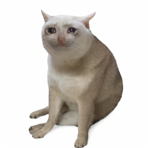 CASHCAT