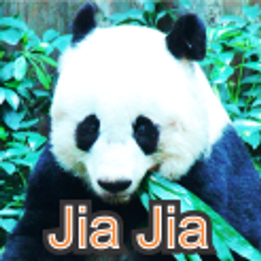 JIA JIA