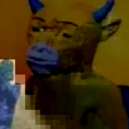 牛来
