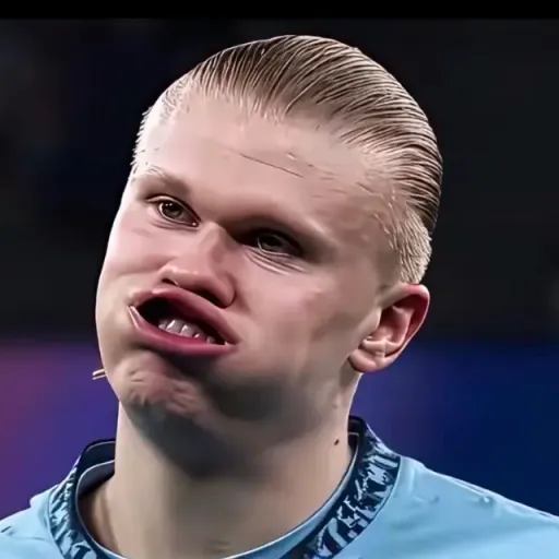 HAALAND