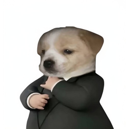 suit
