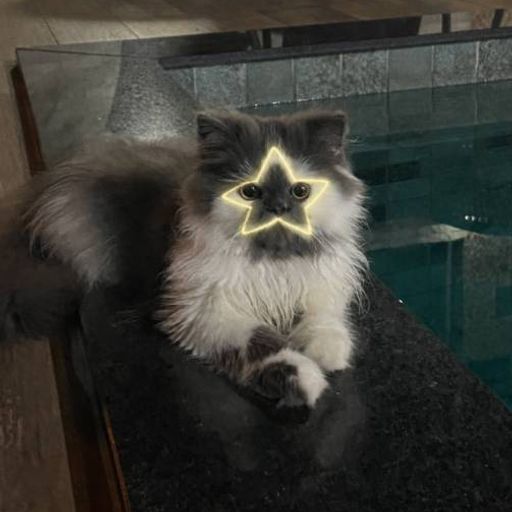 STARCAT