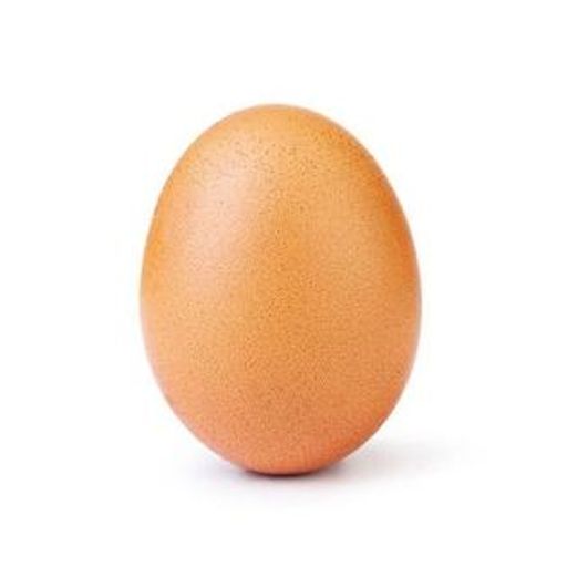 egg5675