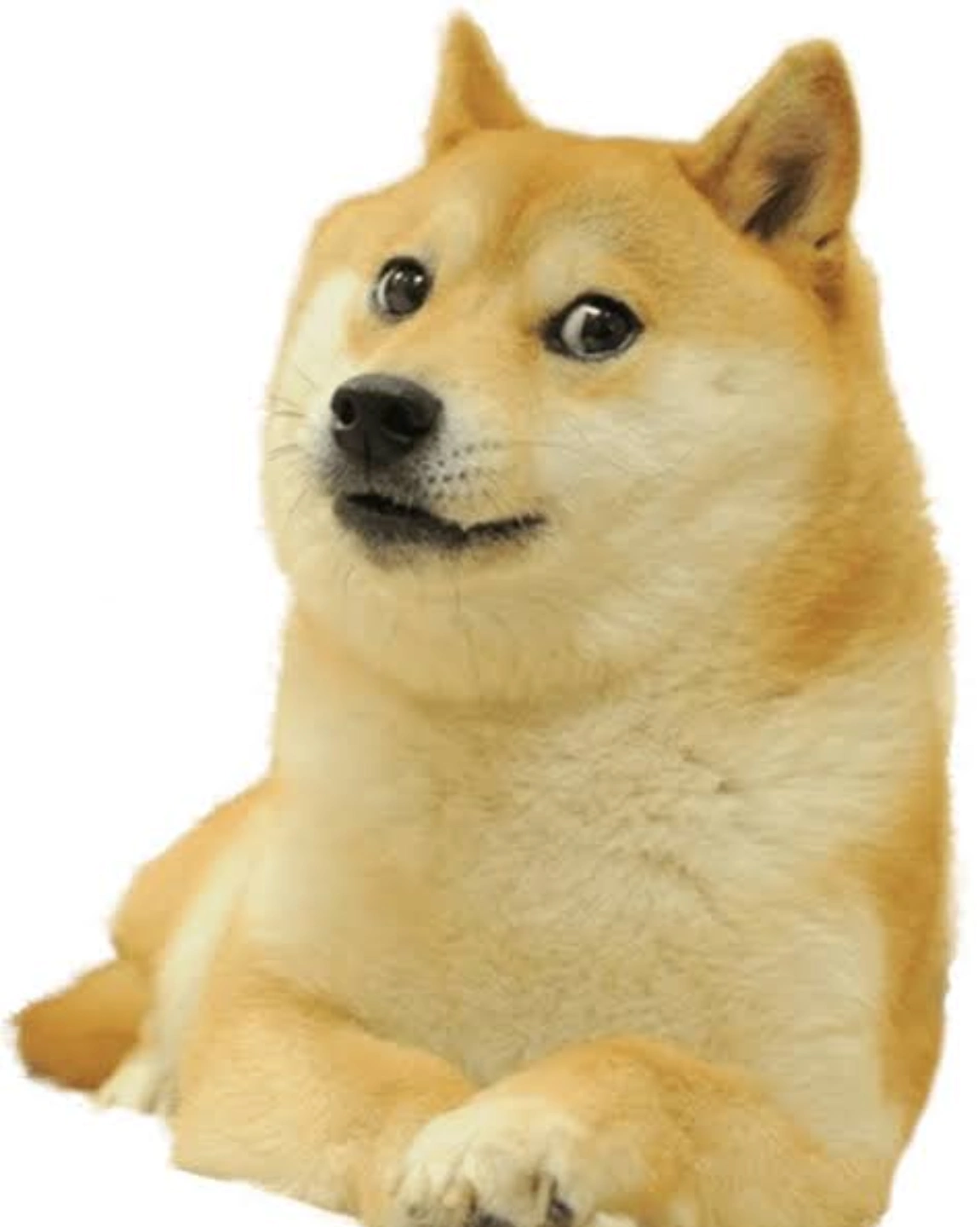 KABOSU