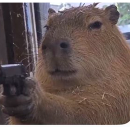 CAPYBARA