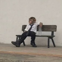 Biz