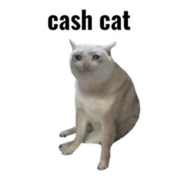 CashCat