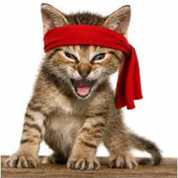 Rambo