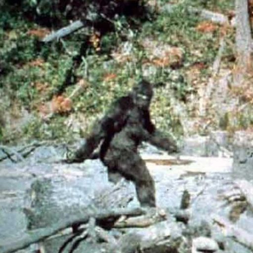 BIGFOOT