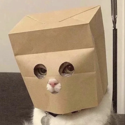 ANONYCAT