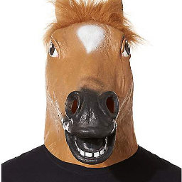 HORSE