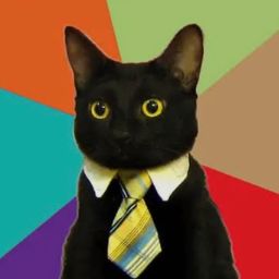 BizCat