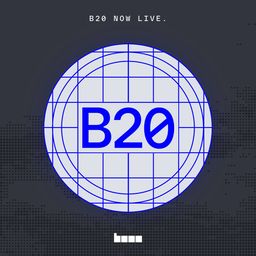 B20
