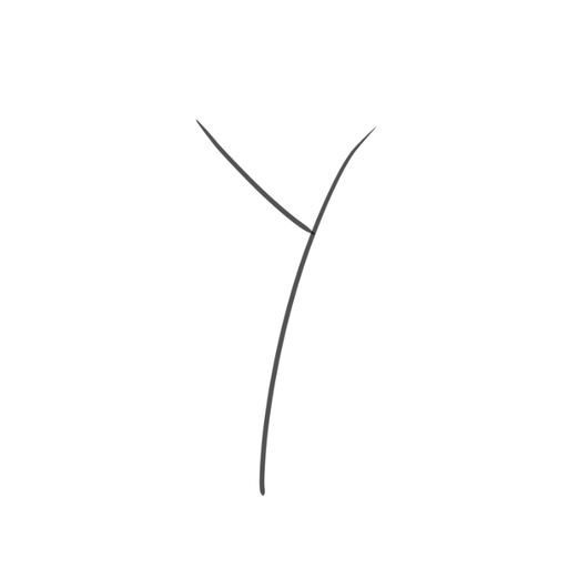 Y