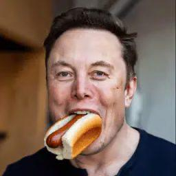 Elonhotdog