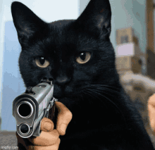 PUMPCAT