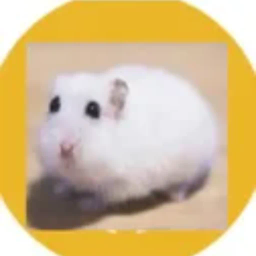 HAMSTER
